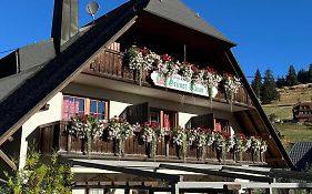 Hotel&Restaurant Grüner Baum - Die Grüne Oase Am Feldberg